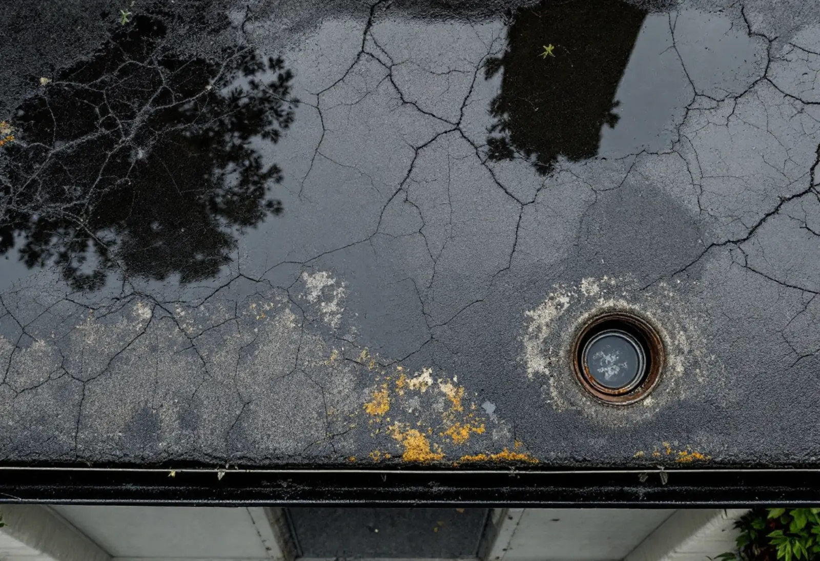 Toit plat d'un garage accolé à une maison de lotissement, avec le relevé d'étanchéité remontant le long du mur et l'évacuation d'eau pluviale